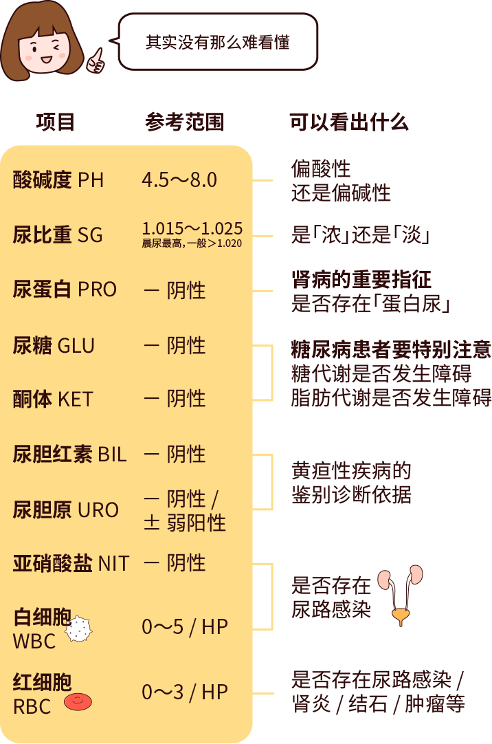 排尿黃、異味大，可能是身體在報警！